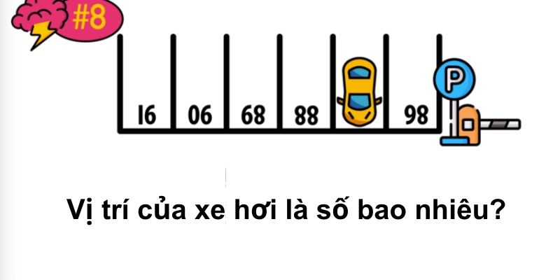 Bài tập 8